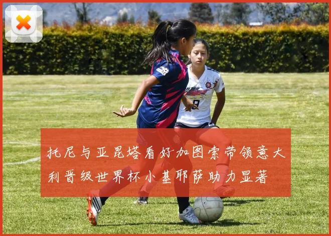 托尼与亚昆塔看好加图索带领意大利晋级世界杯小基耶萨助力显著