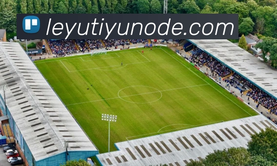 乐鱼体育APP 封面图